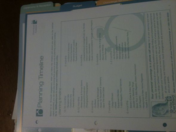 Free Wedding Planning Binder Review W/Free Postage **Pics** :  wedding free wedding planner IMG 1063