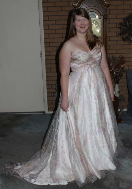 Budget Bees- Lets see your Dresses under $500 : wedding budget dress cheap gown Dress1