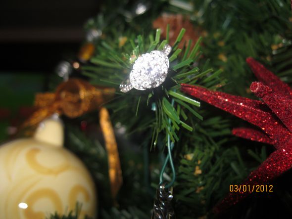 Fun!! Ring scavenger hunt! (pic heavy) Join in! :  wedding fun rings scavenger hunt photography IMG 0452