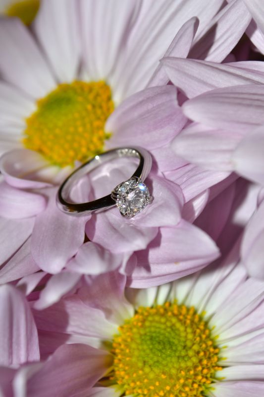 Ritani? :  wedding ritani DSC 0878