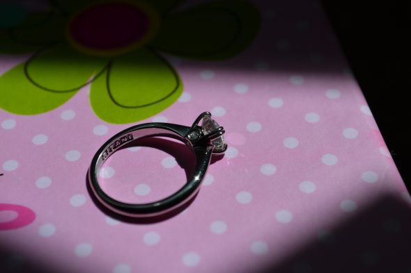 Ritani? :  wedding ritani DSC 1075