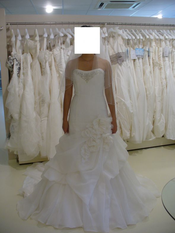 Help Me Decide Please! :  wedding mermaid lace pick ups 1 pronovias enzoani bling princess dress Dressenzoani