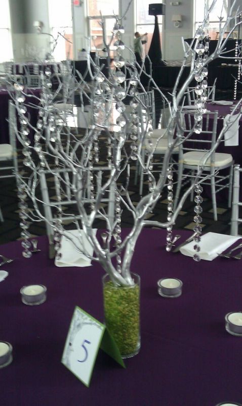Beautiful allnatural manzanita branches for wedding centerpieces