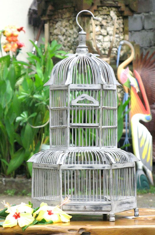 White Bird Cage