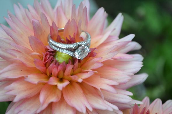 Ritani? :  wedding ritani 007