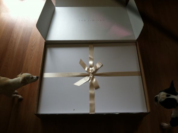 My reception dress is here!!! :  wedding dress reception Recdress1
