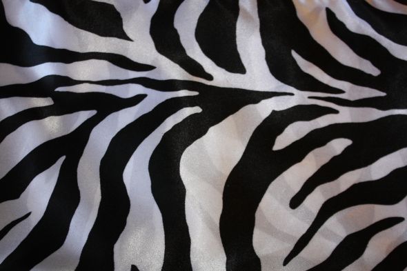 Zebra Print Linen posted 6 months ago in Wedding Dress
