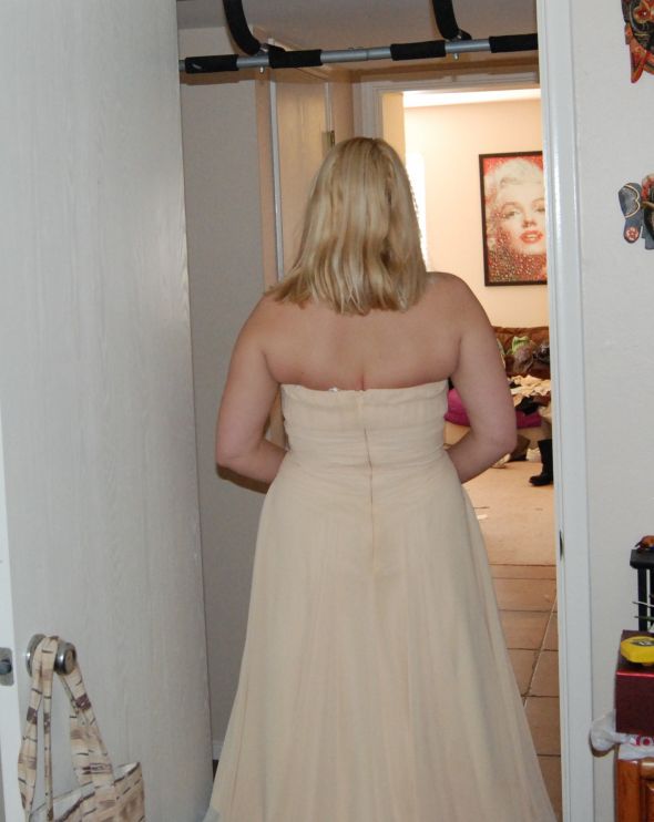 Help me pick an elopement dress -Pic HEAVY :  wedding elopement courthouse wedding dress vintage Sweetpromback