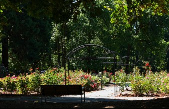 Oregon Brides show me your venues! : wedding oregon brides oregon venue show me your venue Corvallis Rose Garden