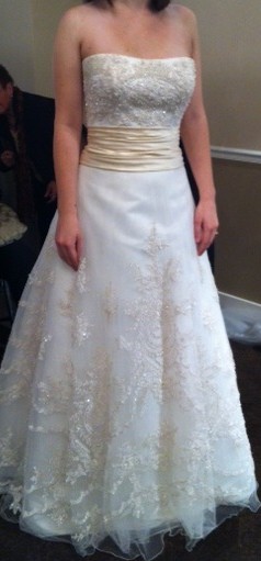 I picked my dress today! :) :  wedding Photo