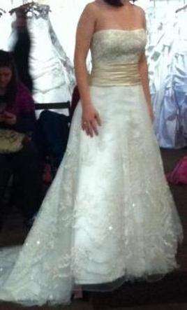 I picked my dress today! :) :  wedding Photo 2