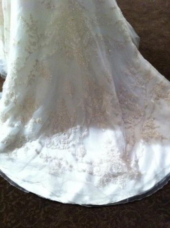 I picked my dress today! :) :  wedding Photo 3