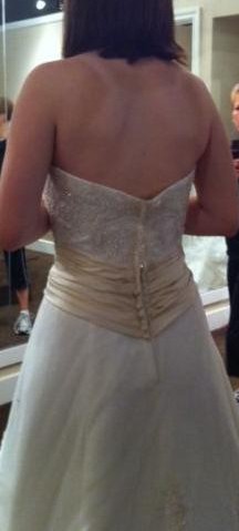 I picked my dress today! :) :  wedding Photo 4