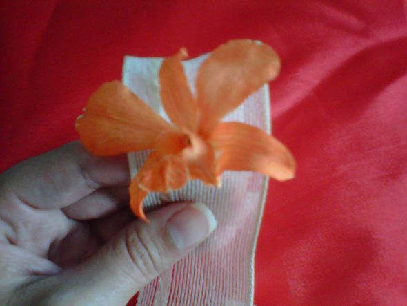 Red Orchid Centerpiece :  wedding orange reception red Orchid Napkins