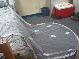 Buyers Remorse Bees Please Help!!!! :  wedding dress veil 407514 345312155480951 100000065085564 1433251 667857755 N