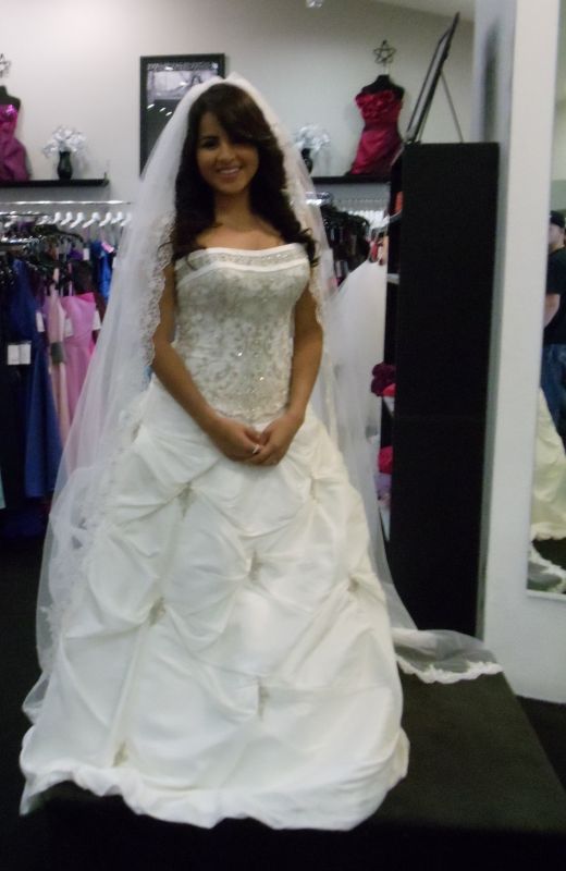 Buyers Remorse Bees Please Help!!!! :  wedding dress veil Wedding And Other Stuff 701
