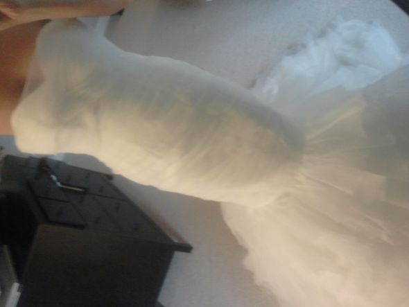 China Dress Complicated Gown please help : wedding china dress help organza vera wange 2012 02 17 07.56.42