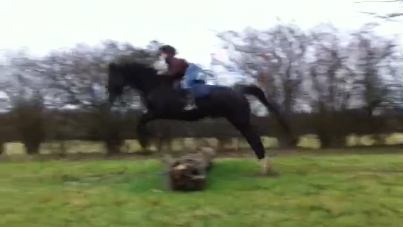 Horsey Friends..some advice please? :  wedding horse feed weight loss Kali Jump Log 2