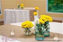 John Deere Green-My Wedding theme : wedding Burplap