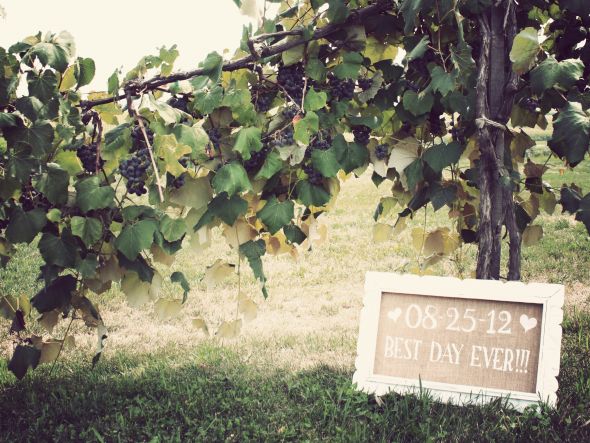 Winery Ceremony Decor