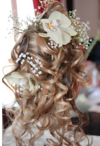 Peach bridesmaid dresses, purple ties - accessories? :  wedding hair flower shoes color Screen Shot 2012 01 30 At 11.33.42 PM