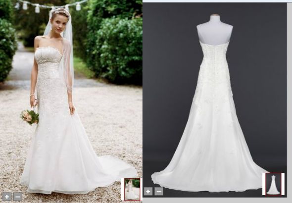 Help me Pick a Dress! Pics :  wedding dress help poll casablanca 1827 davids bridal wg3121 Davids3