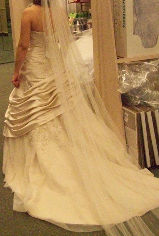 NewBee seeking some bridesmaid gown tips! :  wedding bridesmaid dresses gowns november outdoors WeddingGown2