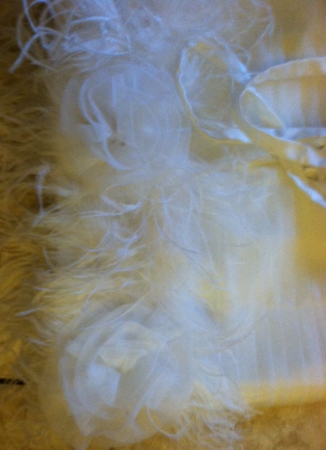 My Story of Custom Made Dress from China :  wedding ebay custom replica china hong kong dress made anyone Shortdress3