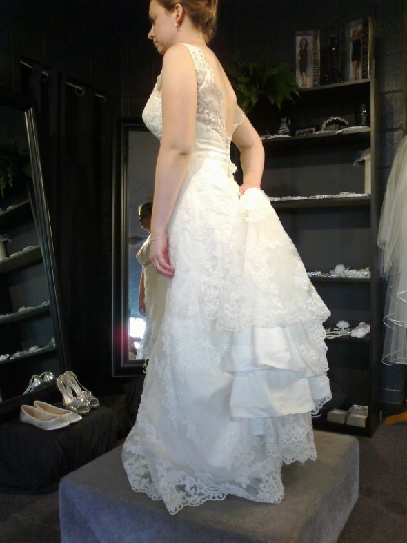Which dress looks better? Pics included. :  wedding wedding help dresses dress which one pictures pics Laceside