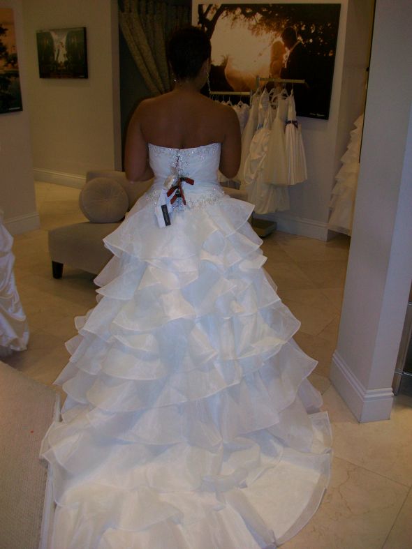 Wedding Dress 2nd Thoughts? :  wedding wedding dress regrets 100 2334