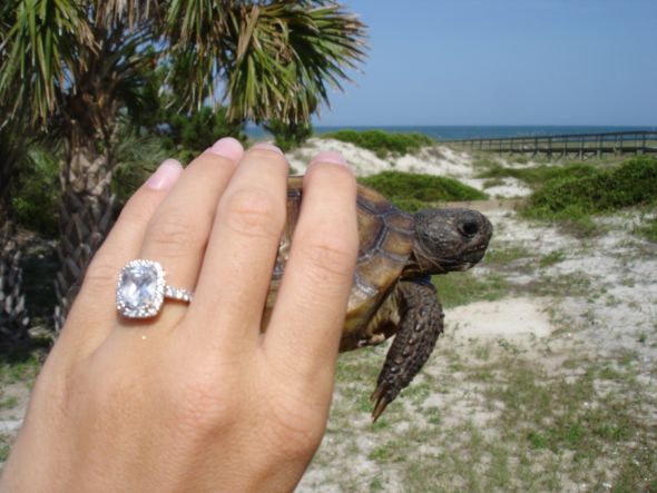 Engagement Ring