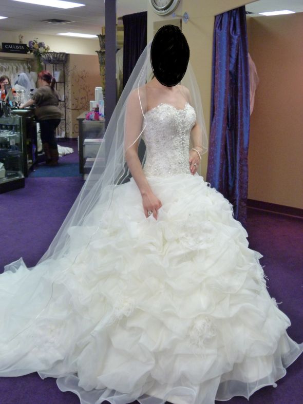 Calling all allure c170 brides or anyone who has tried it on! : wedding allure c170 P1000569