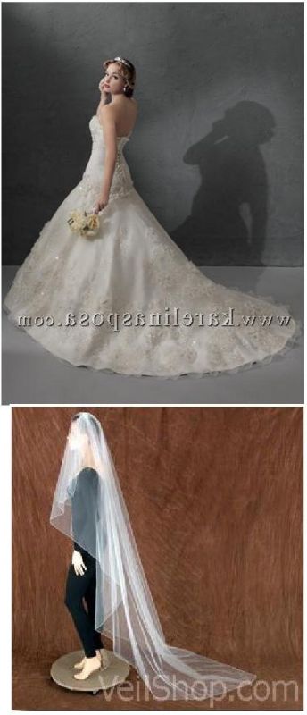 Opinions needed! Is this veil idea too much for this dress??? :  wedding veil opinion poll dress idea vote help falling petals cascading long veil too much Simple Veil2