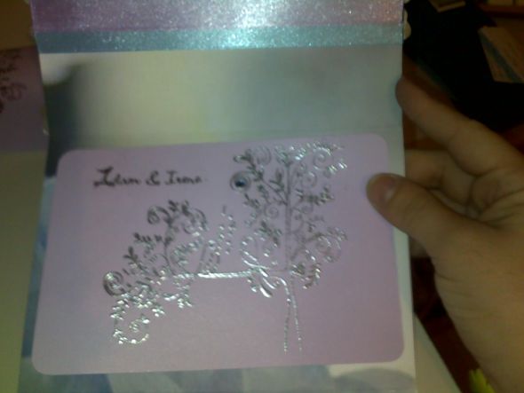 I'm having so much fun with my pocketfold invitations! (pic heavy) :  wedding 100220121064