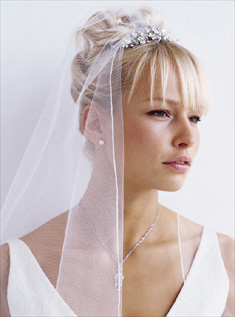 Updo with veil :  wedding Veil And Comb