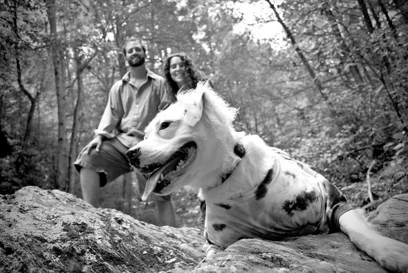 Post your pet pictures!! :  wedding  DSC6499blkwht