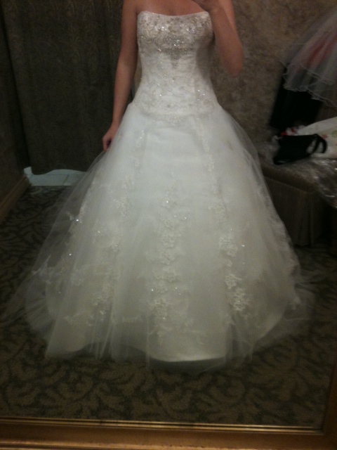 My Wedding Dress Came In!! Opinions Needed :)