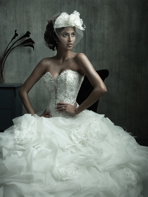 My Wedding Dress...the second one I'