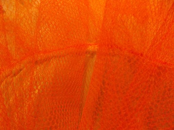 Orange crinoline