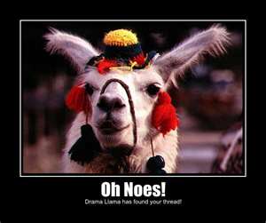 Resisting the Drama Llama!! :  wedding drama llama pictures lol Drama
