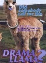 Resisting the Drama Llama!! :  wedding drama llama pictures lol Drama2