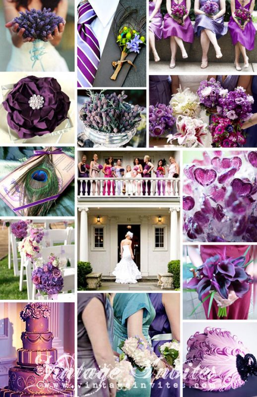 wedding Vintage Invites Peacock Themed Wedding Purples Mood Board
