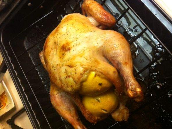 my first post! :  wedding engagement chicken Photo 1
