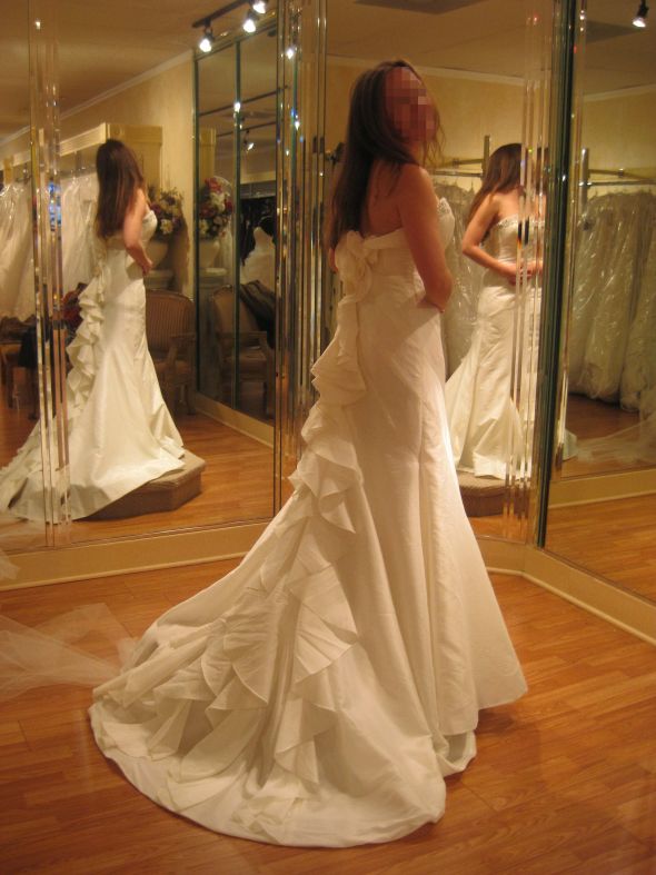 HELP!!! Need Dress Opinions Pleeeeaaassse :  wedding jasmine enzoani dakota dress help picking gown taffeta 1 Profile Back