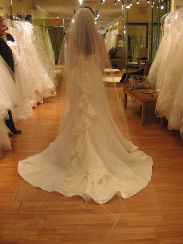 HELP!!! Need Dress Opinions Pleeeeaaassse :  wedding jasmine enzoani dakota dress help picking gown taffeta 3 Back