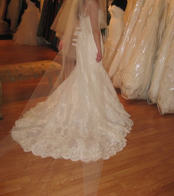 HELP!!! Need Dress Opinions Pleeeeaaassse :  wedding jasmine enzoani dakota dress help picking gown taffeta IMG 3405