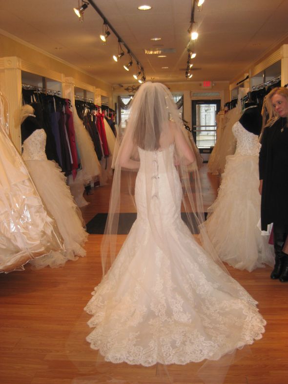 HELP!!! Need Dress Opinions Pleeeeaaassse :  wedding jasmine enzoani dakota dress help picking gown taffeta Dakota Back