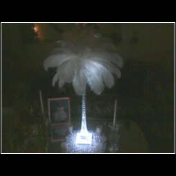 Baby's Breath Centerpieces vs. Ostrich Feather Centerpieces.....or both? :  wedding babys breath ostrich feathers centerpiece Centerpiece