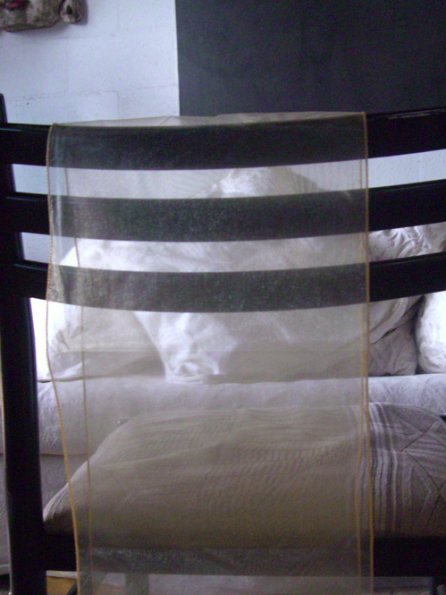 Fall Glam Decor Take It All Free Shipping! & Something For Free!!! :  wedding Chairs Sash 2 Chandeliers, Diamonds, Fall Glam Decor And More!!!!! :  wedding Chairs Sash 2 