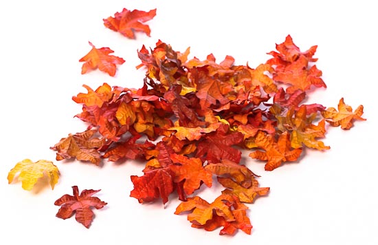 Fall Glam Decor Take It All Free Shipping! & Something For Free!!! :  wedding Mini Leaves Chandeliers, Diamonds, Fall Glam Decor And More!!!!! :  wedding Mini Leaves 